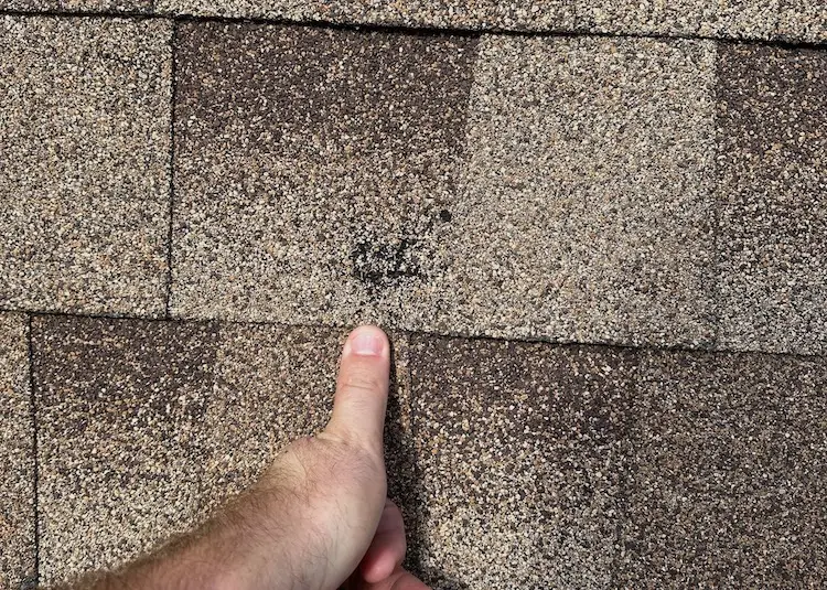 Texas Roof RepairHail Damage 2